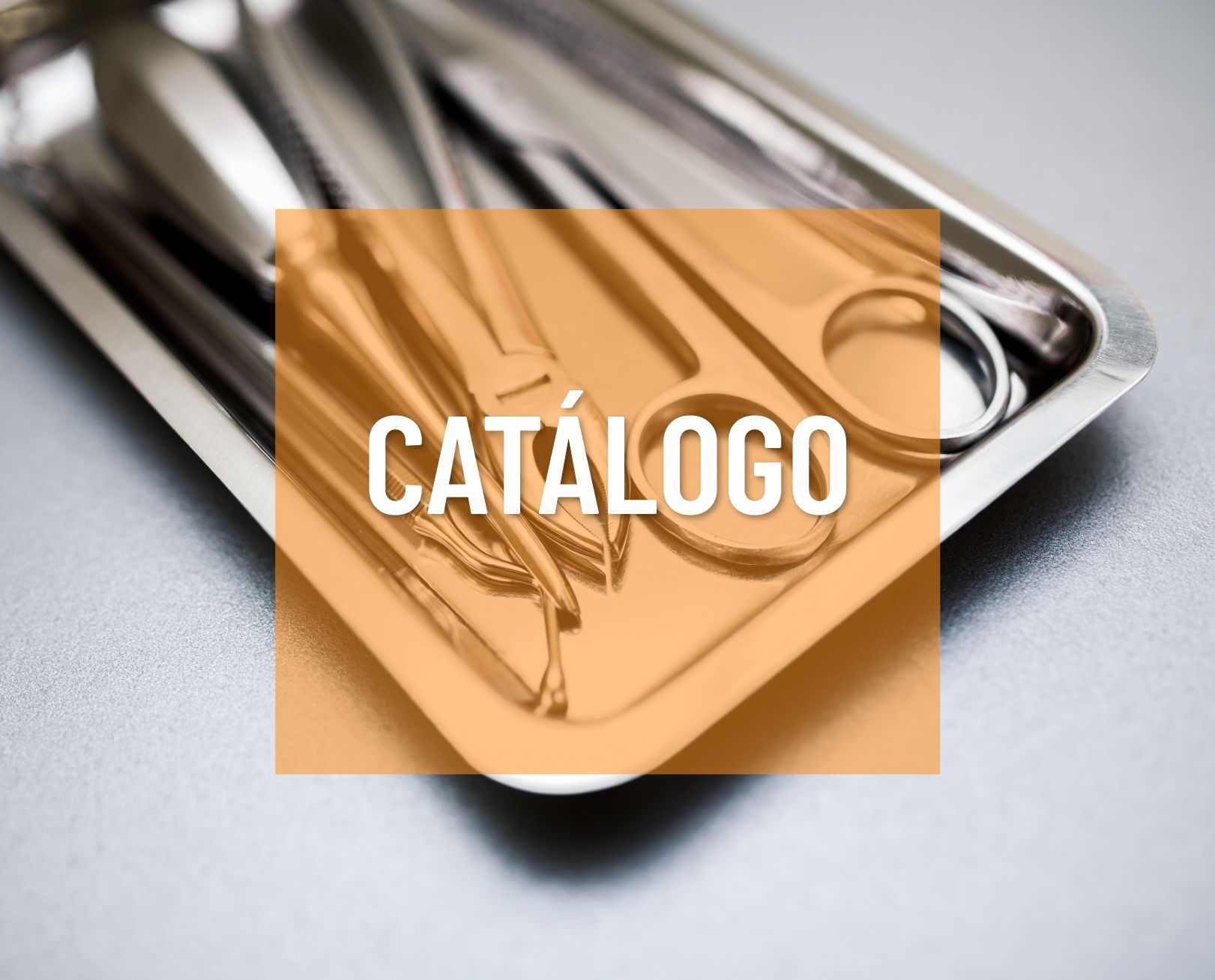 Catálogo
